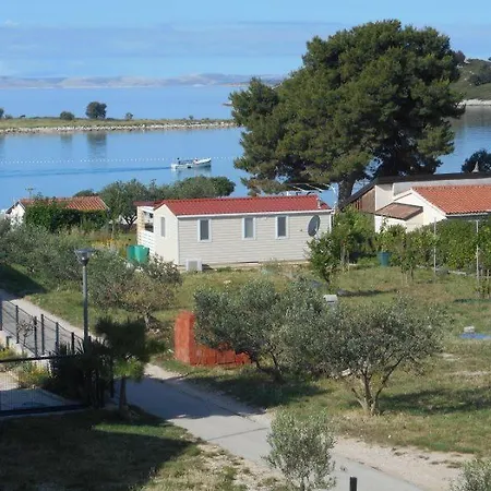 Tonci